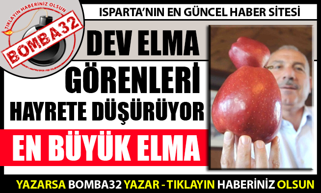 800 GRAMLIK ELMA